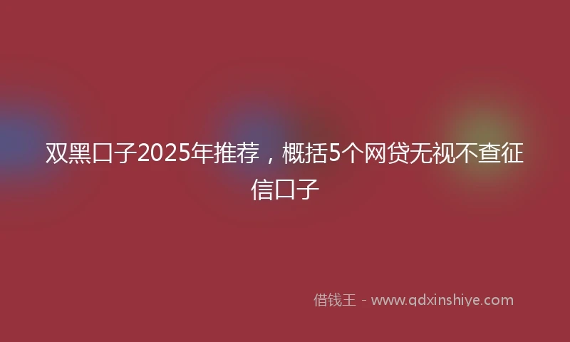 双黑口子2025年推荐，概括5个网贷无视不查征信口子