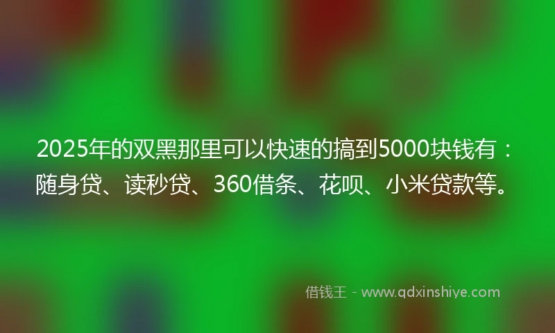 2025年的双黑那里可以快速的搞到5000块钱有：随身贷、读秒贷、360借条、花呗、小米贷款等。