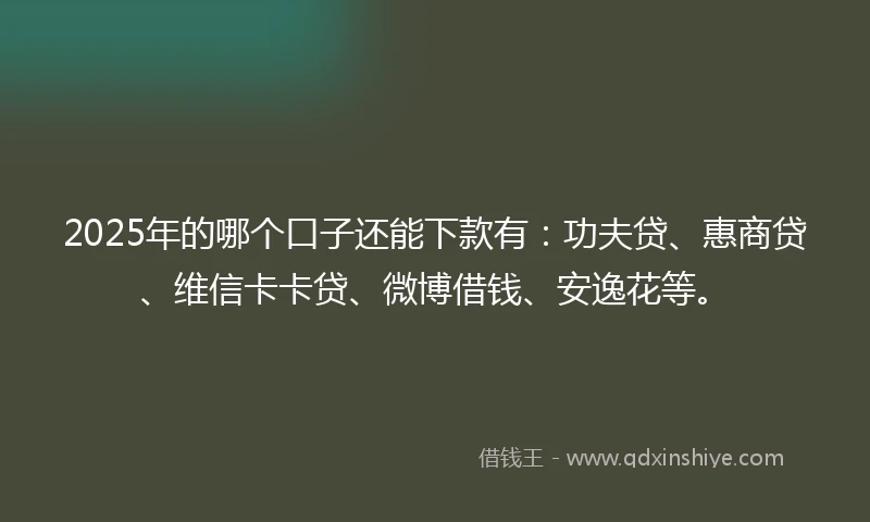 2025年的哪个口子还能下款有：功夫贷、惠商贷、维信卡卡贷、微博借钱、安逸花等。