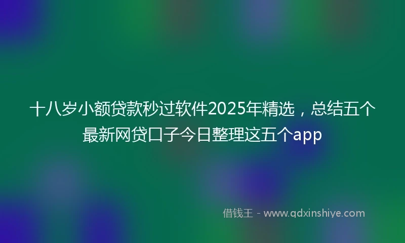 十八岁小额贷款秒过软件2025年精选，总结五个最新网贷口子今日整理这五个app