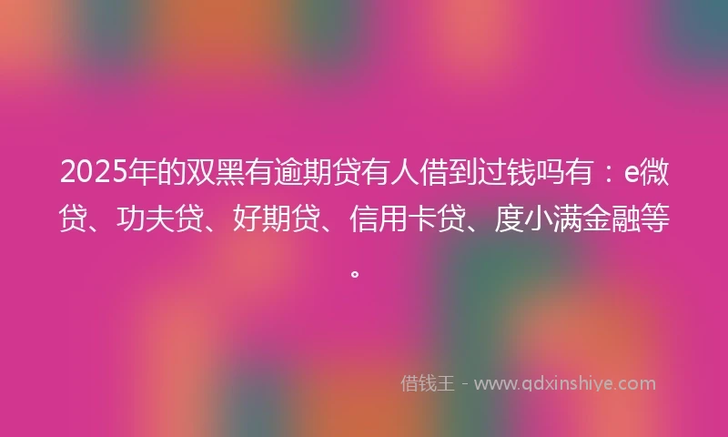 2025年的双黑有逾期贷有人借到过钱吗有：e微贷、功夫贷、好期贷、信用卡贷、度小满金融等。