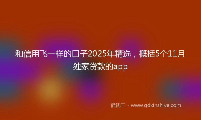 和信用飞一样的口子2025年精选，概括5个11月独家贷款的app