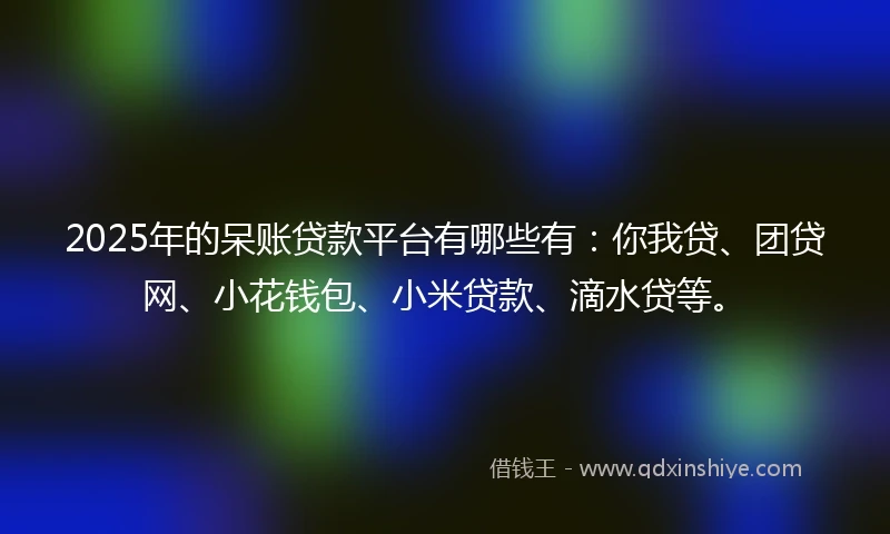 2025年的呆账贷款平台有哪些有：你我贷、团贷网、小花钱包、小米贷款、滴水贷等。