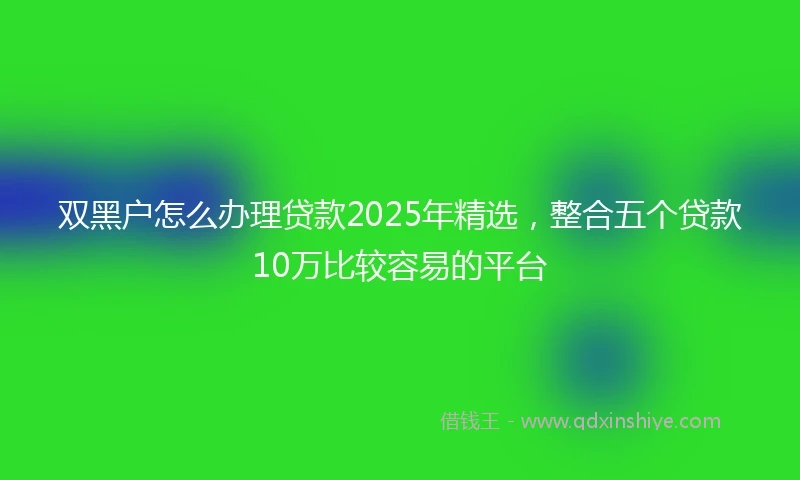 双黑户怎么办理贷款2025年精选，整合五个贷款10万比较容易的平台