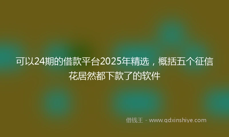 可以24期的借款平台2025年精选，概括五个征信花居然都下款了的软件