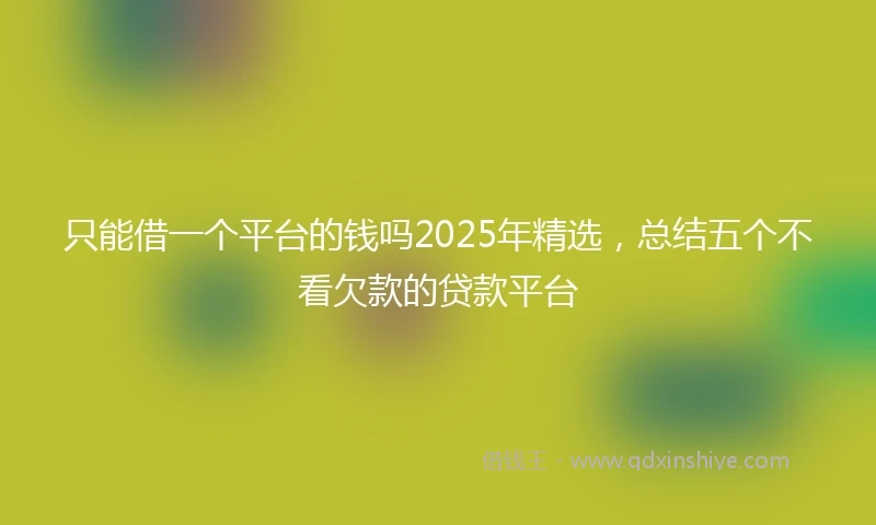 只能借一个平台的钱吗2025年精选，总结五个不看欠款的贷款平台