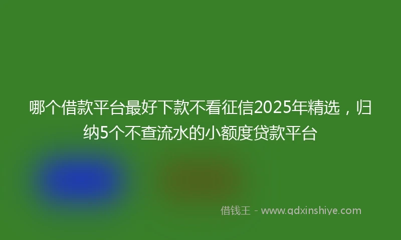 哪个借款平台最好下款不看征信2025年精选，归纳5个不查流水的小额度贷款平台