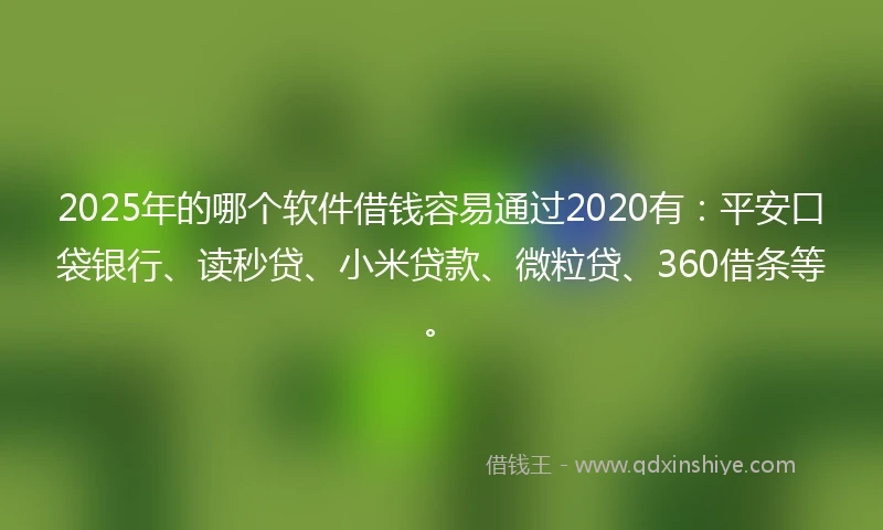 2025年的哪个软件借钱容易通过2020有：平安口袋银行、读秒贷、小米贷款、微粒贷、360借条等。