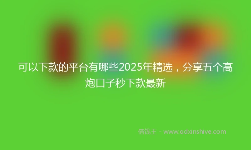 可以下款的平台有哪些2025年精选，分享五个高炮口子秒下款最新