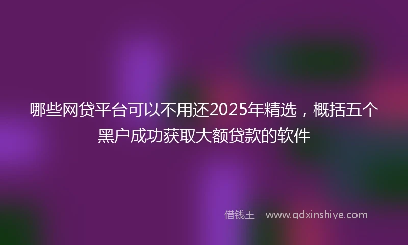 哪些网贷平台可以不用还2025年精选，概括五个黑户成功获取大额贷款的软件
