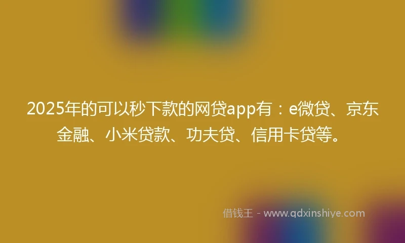 2025年的可以秒下款的网贷app有:e微贷、京东金融、小米贷款、功夫贷、信用卡贷等。