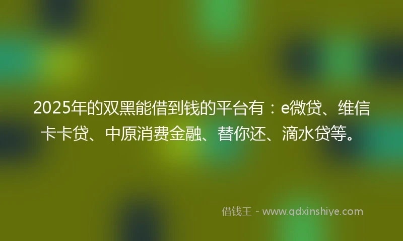 2025年的双黑能借到钱的平台有：e微贷、维信卡卡贷、中原消费金融、替你还、滴水贷等。