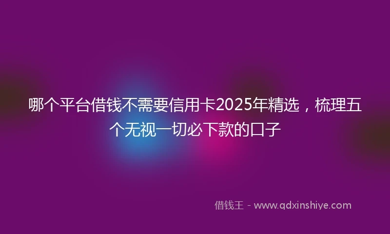 哪个平台借钱不需要信用卡2025年精选，梳理五个无视一切必下款的口子