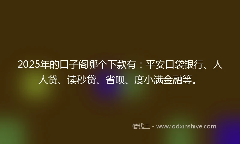 2025年的口子阁哪个下款有：平安口袋银行、人人贷、读秒贷、省呗、度小满金融等。