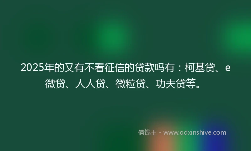 2025年的又有不看征信的贷款吗有:柯基贷、e微贷、人人贷、微粒贷、功夫贷等。