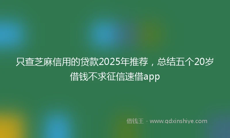 只查芝麻信用的贷款2025年推荐，总结五个20岁借钱不求征信速借app