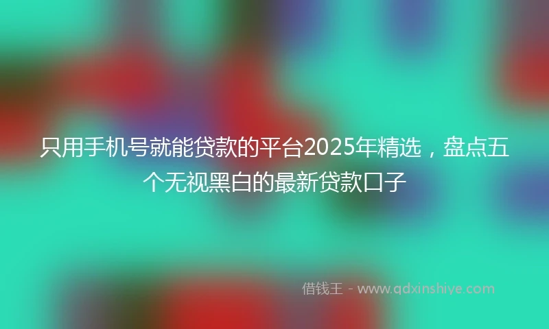 只用手机号就能贷款的平台2025年精选，盘点五个无视黑白的最新贷款口子