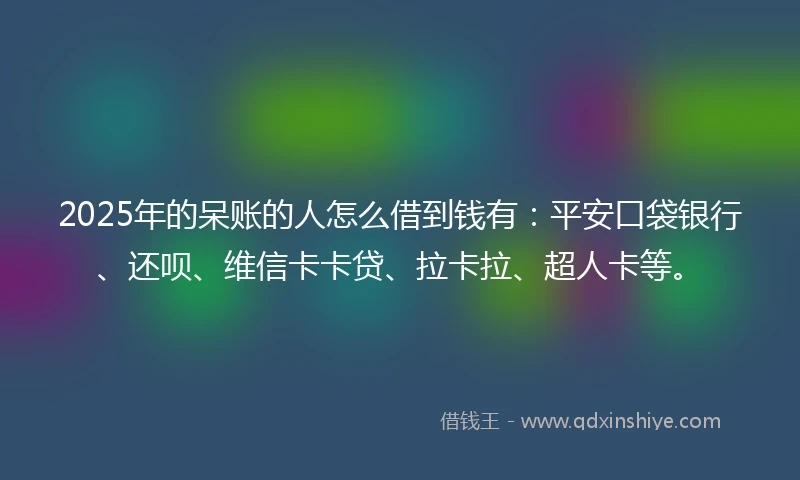 2025年的呆账的人怎么借到钱有：平安口袋银行、还呗、维信卡卡贷、拉卡拉、超人卡等。