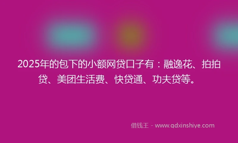 2025年的包下的小额网贷口子有:融逸花、拍拍贷、美团生活费、快贷通、功夫贷等。