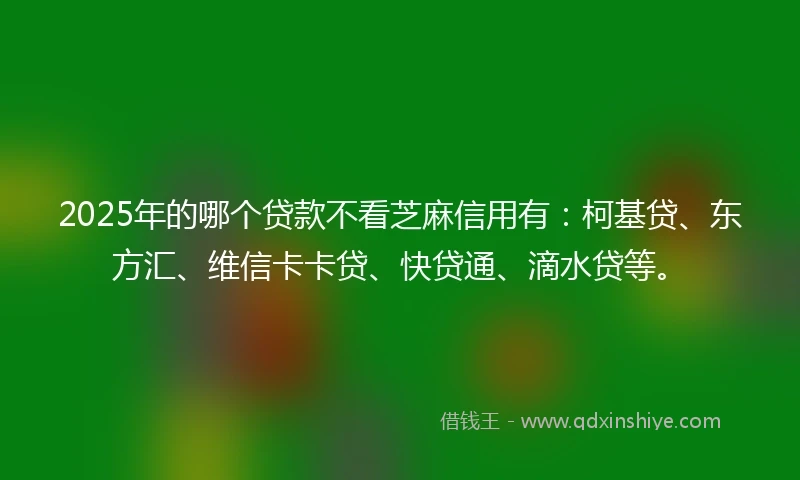 2025年的哪个贷款不看芝麻信用有：柯基贷、东方汇、维信卡卡贷、快贷通、滴水贷等。