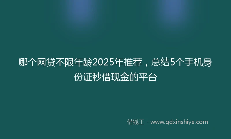 哪个网贷不限年龄2025年推荐，总结5个手机身份证秒借现金的平台