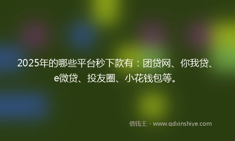 2025年的哪些平台秒下款有：团贷网、你我贷、e微贷、投友圈、小花钱包等。