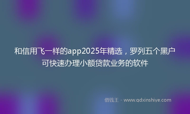 和信用飞一样的app2025年精选，罗列五个黑户可快速办理小额贷款业务的软件