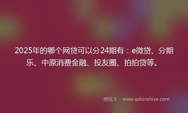2025年的哪个网贷可以分24期有：e微贷、分期乐、中原消费金融、投友圈、拍拍贷等。