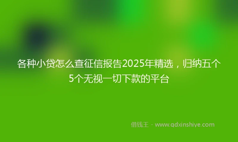 各种小贷怎么查征信报告2025年精选，归纳五个5个无视一切下款的平台