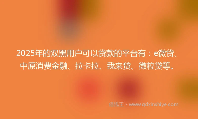 2025年的双黑用户可以贷款的平台有：e微贷、中原消费金融、拉卡拉、我来贷、微粒贷等。