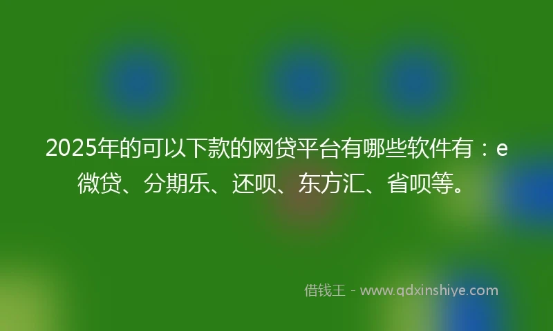 2025年的可以下款的网贷平台有哪些软件有：e微贷、分期乐、还呗、东方汇、省呗等。