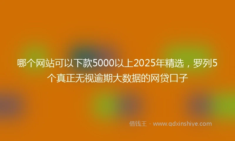 哪个网站可以下款5000以上2025年精选，罗列5个真正无视逾期大数据的网贷口子