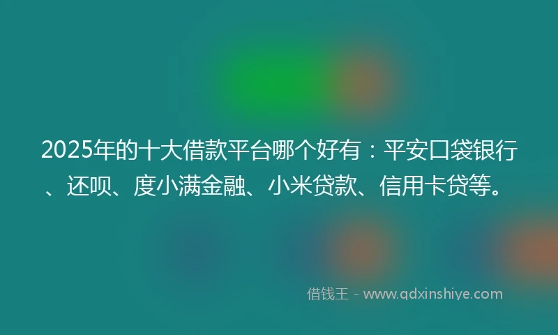 2025年的十大借款平台哪个好有：平安口袋银行、还呗、度小满金融、小米贷款、信用卡贷等。