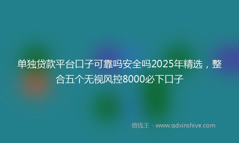 单独贷款平台口子可靠吗安全吗2025年精选，整合五个无视风控8000必下口子