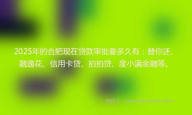 2025年的合肥现在贷款审批要多久有：替你还、融逸花、信用卡贷、拍拍贷、度小满金融等。