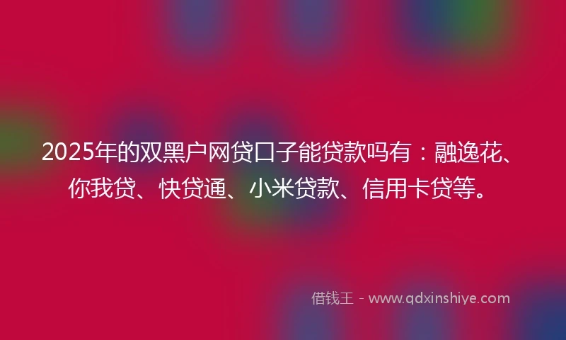 2025年的双黑户网贷口子能贷款吗有：融逸花、你我贷、快贷通、小米贷款、信用卡贷等。