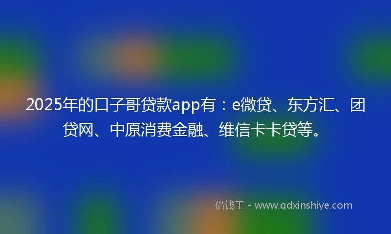 2025年的口子哥贷款app有：e微贷、东方汇、团贷网、中原消费金融、维信卡卡贷等。