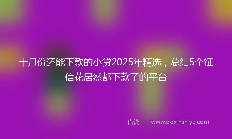 十月份还能下款的小贷2025年精选，总结5个征信花居然都下款了的平台
