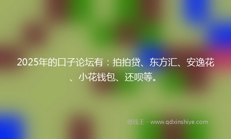 2025年的口子论坛有：拍拍贷、东方汇、安逸花、小花钱包、还呗等。