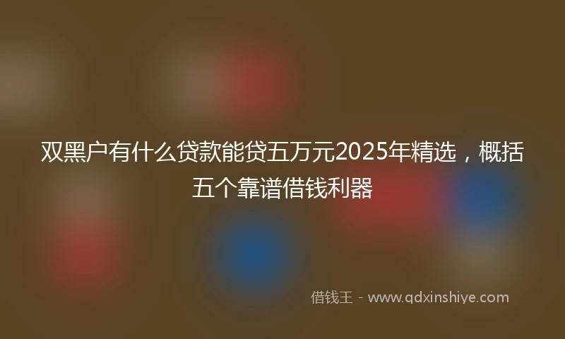 双黑户有什么贷款能贷五万元2025年精选，概括五个靠谱借钱利器