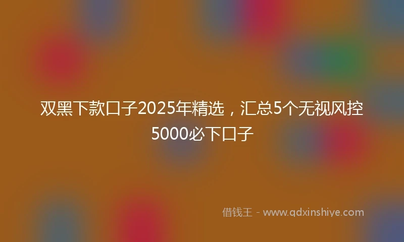 双黑下款口子2025年精选，汇总5个无视风控5000必下口子