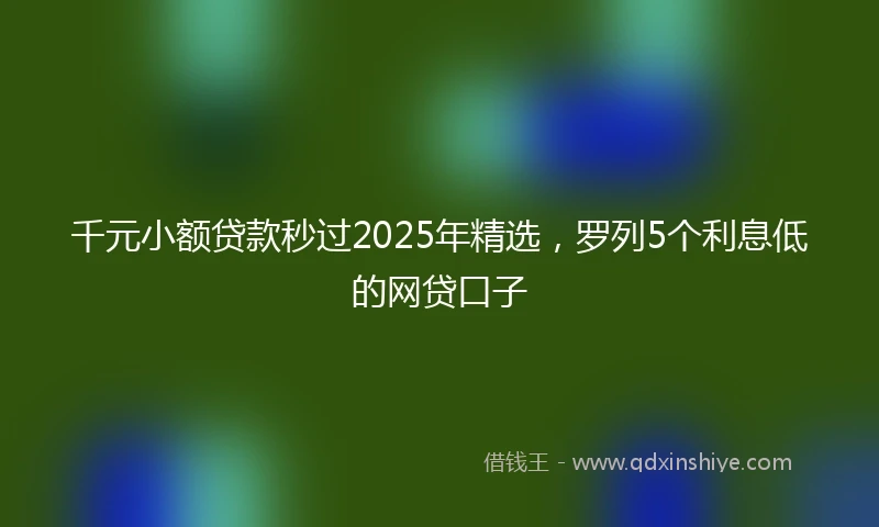 千元小额贷款秒过2025年精选，罗列5个利息低的网贷口子