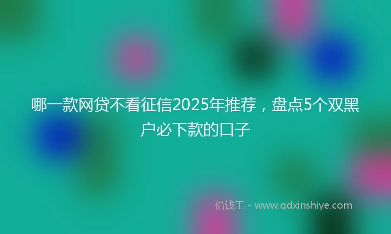 哪一款网贷不看征信2025年推荐，盘点5个双黑户必下款的口子