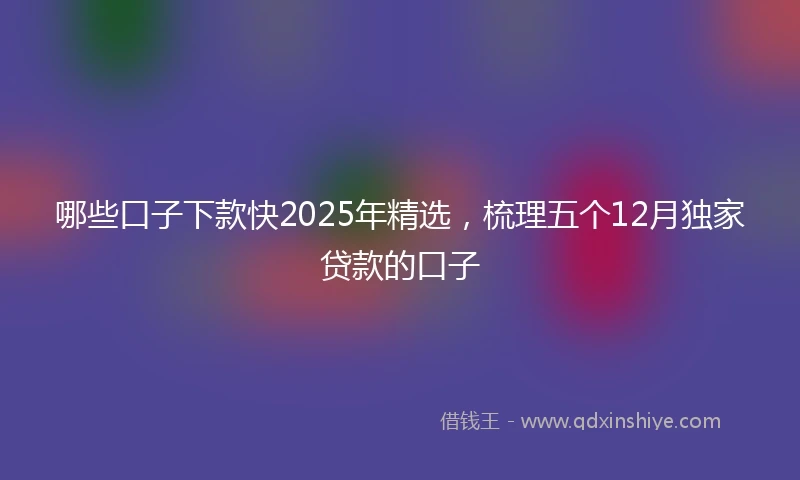 哪些口子下款快2025年精选，梳理五个12月独家贷款的口子