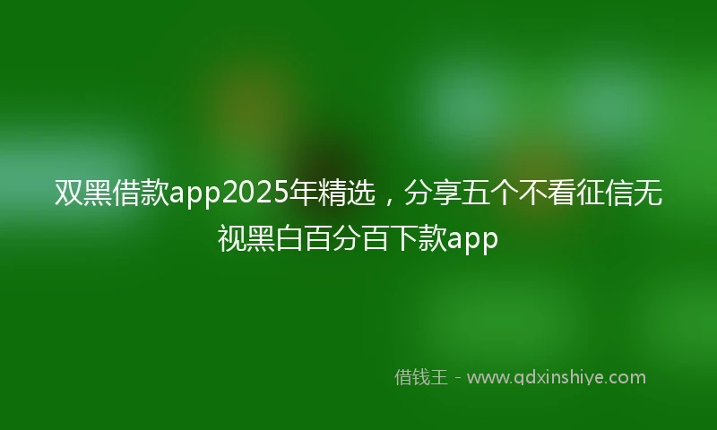 双黑借款app2025年精选,分享五个不看征信无视黑白百分百下款app