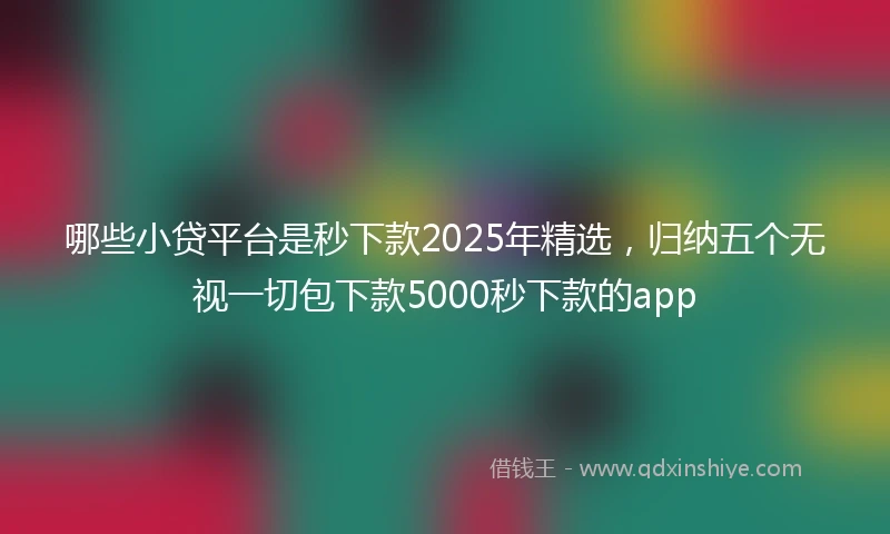 哪些小贷平台是秒下款2025年精选，归纳五个无视一切包下款5000秒下款的app