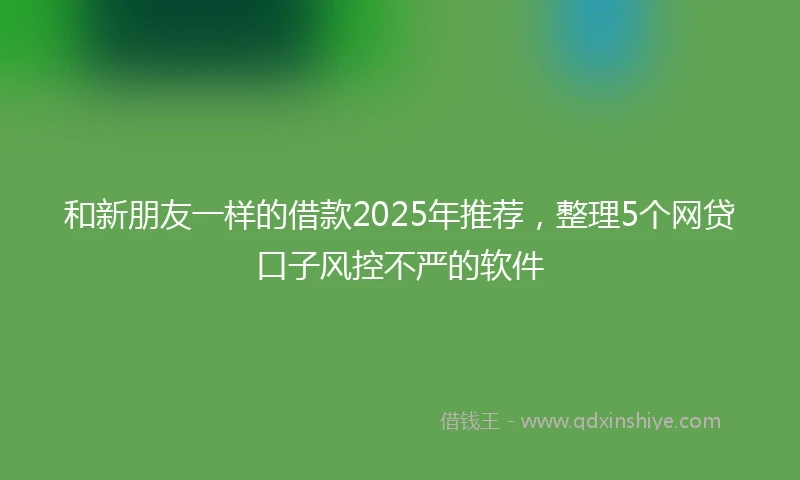 和新朋友一样的借款2025年推荐，整理5个网贷口子风控不严的软件
