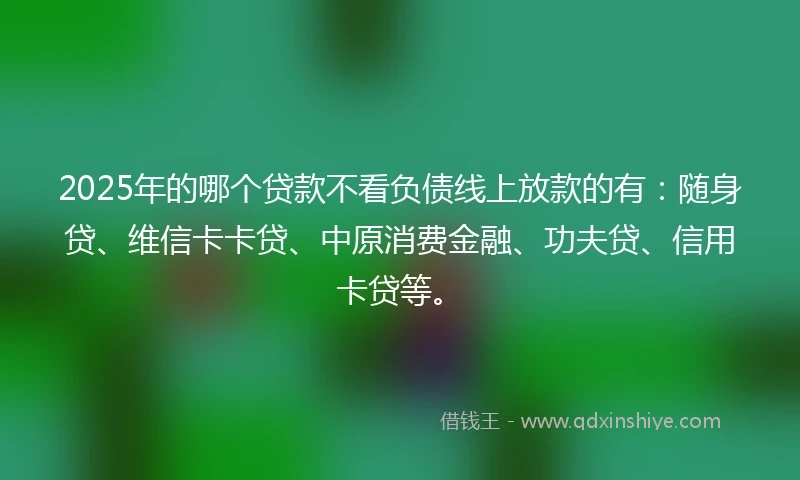 2025年的哪个贷款不看负债线上放款的有：随身贷、维信卡卡贷、中原消费金融、功夫贷、信用卡贷等。