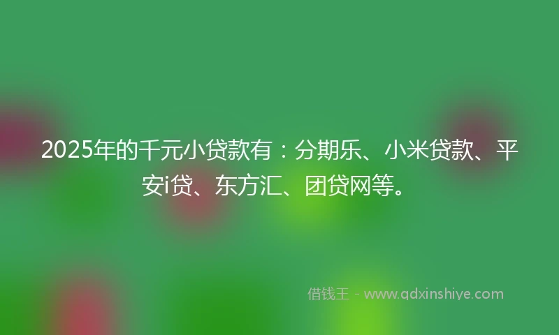 2025年的千元小贷款有：分期乐、小米贷款、平安i贷、东方汇、团贷网等。