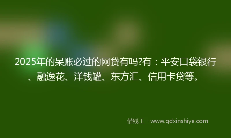 2025年的呆账必过的网贷有吗?有：平安口袋银行、融逸花、洋钱罐、东方汇、信用卡贷等。